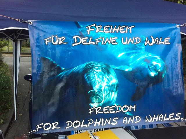 Forderungen des Vereins. ...