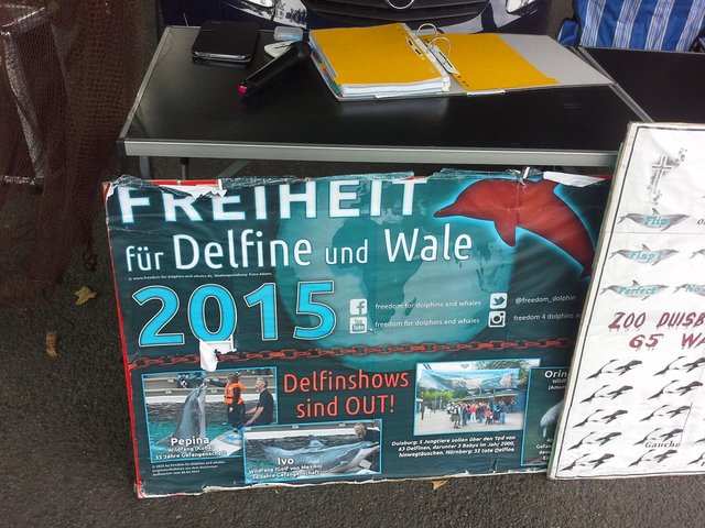 Delphin Show =Leistungsdruck für Tiere!