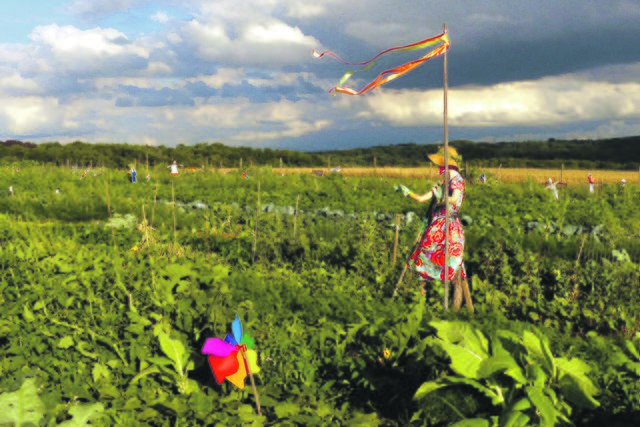 Die stummen Helfer helfen 24 Stunden am Tag, die eigenen Pflanzen vor Vögeln zu schützen.