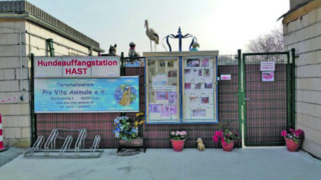Fast fertig, aber wegen des Baustopps nicht bezugsbereit: die neue Hundeauffangstation am Krayer Mechtenberg. Foto: Pro Vita Animale e.V.