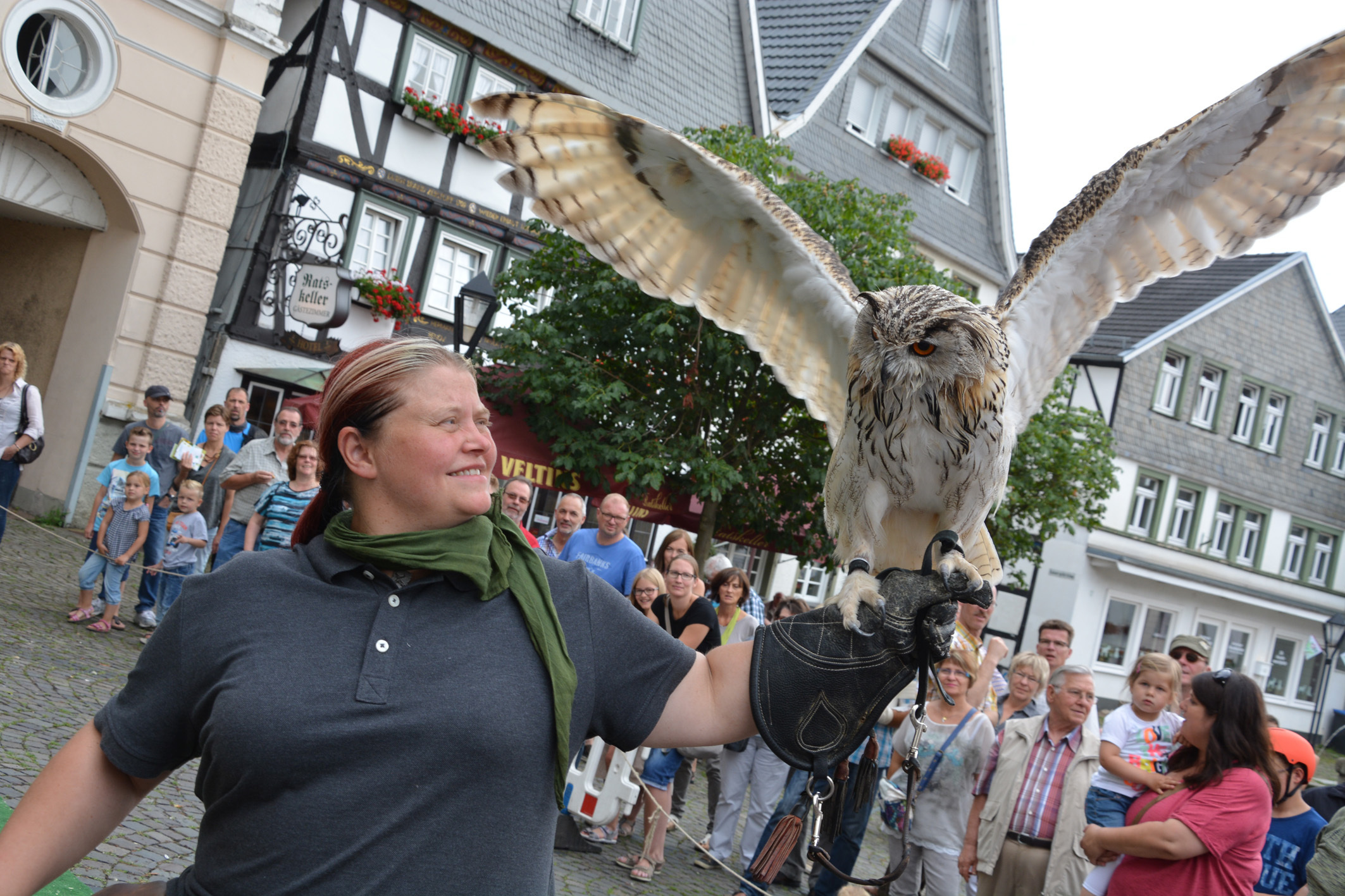 Auch die Flugschau mit Greifvögeln und Eulen von der Falknerei "Eulenhof" aus Marsberg war Bestandteil des Holzmarktes Arnsberg. Fotos: Albrecht