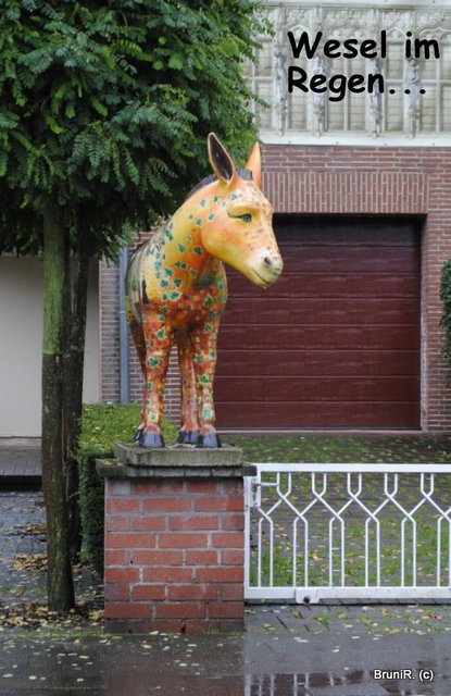 Und... auf nach Hause...