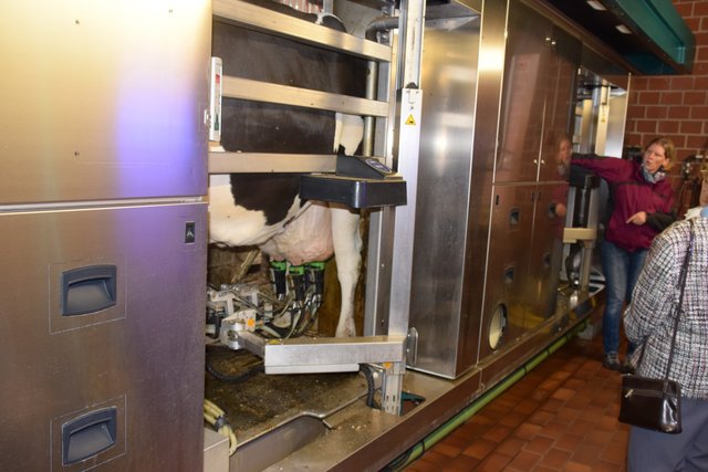 Andrea Schulze-Hockenbeck erklärt alles ganz genau