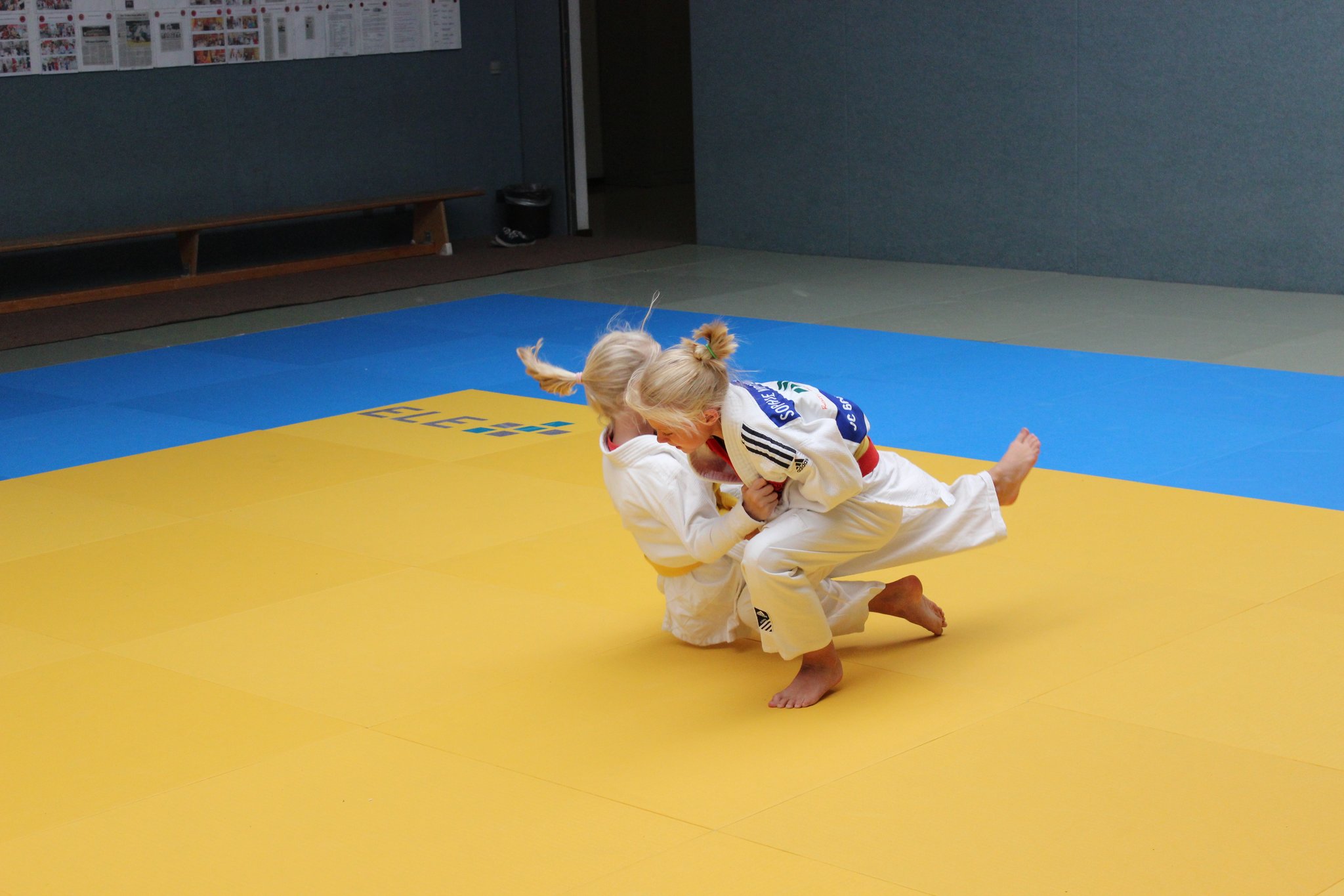 Judo Safari 2015 Bottrop