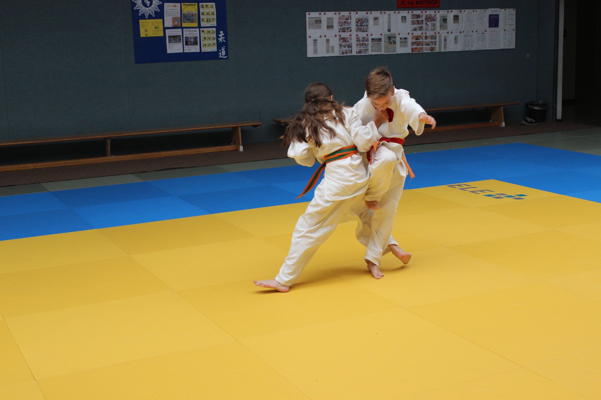 Judo Safari 2015 Bottrop