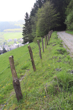 Wandern Sie mit1