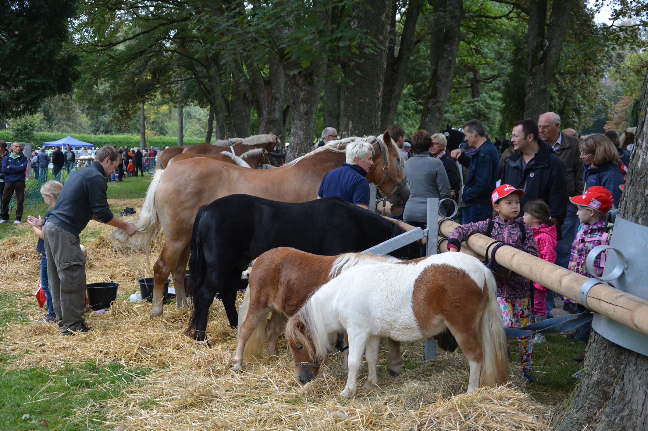 Am Montag (14. September) lockt die Hüstener Kirmes mit eine tollen Angebot: Menschen - Tiere - Sensationen... Foto: Albrecht/Archiv