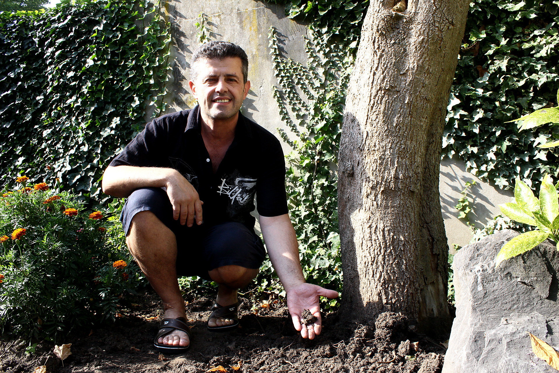 Fassungslos: Grigorios Gerouchatzis bangt um den verseuchten Baum. Fotos: Müller