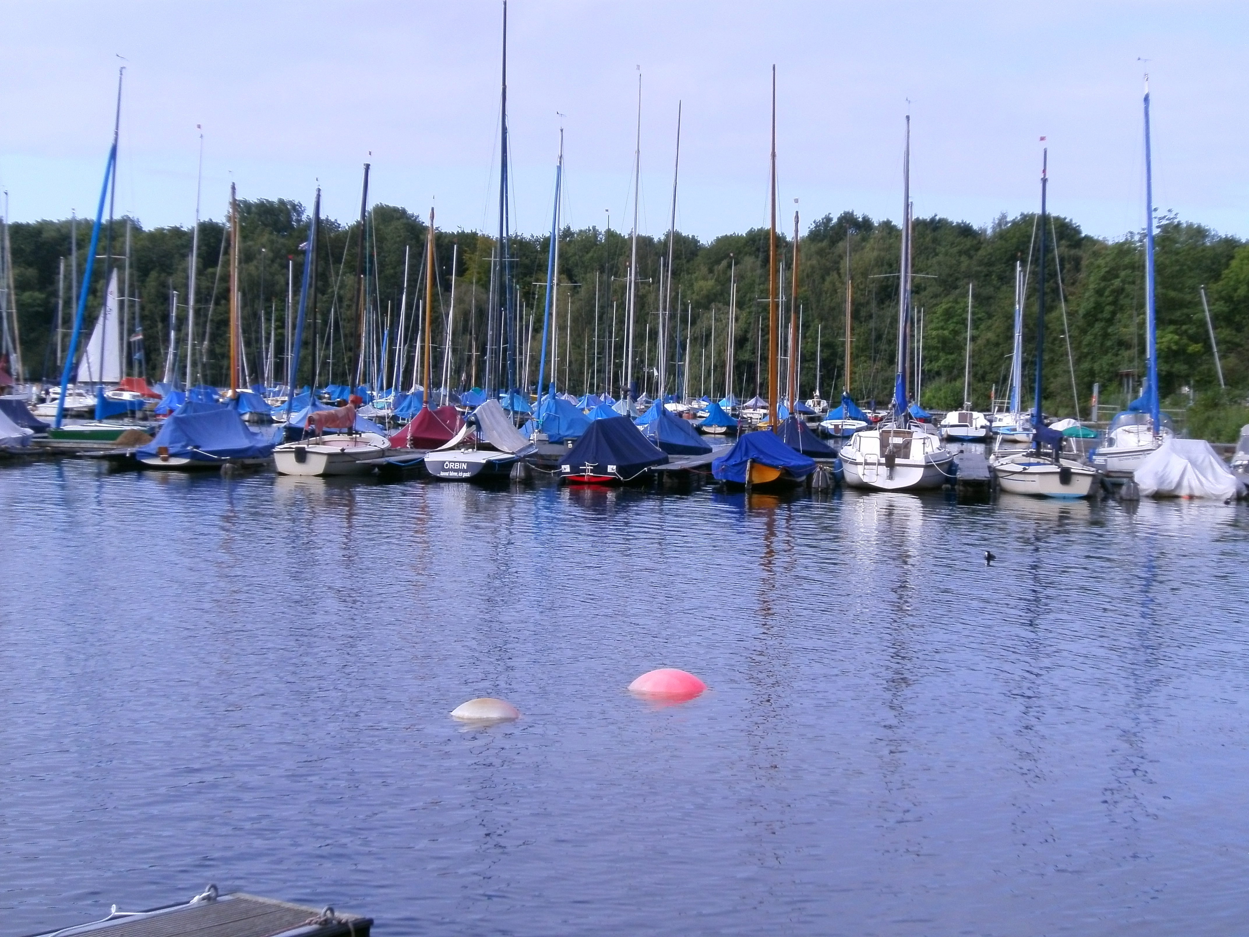 unterbacher see in Düsseldorf