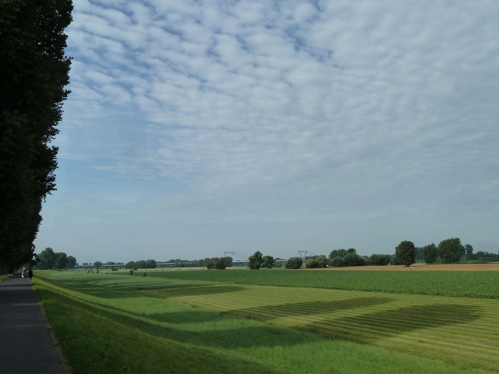 Sonntag, 9. August, 09:41 Uhr
