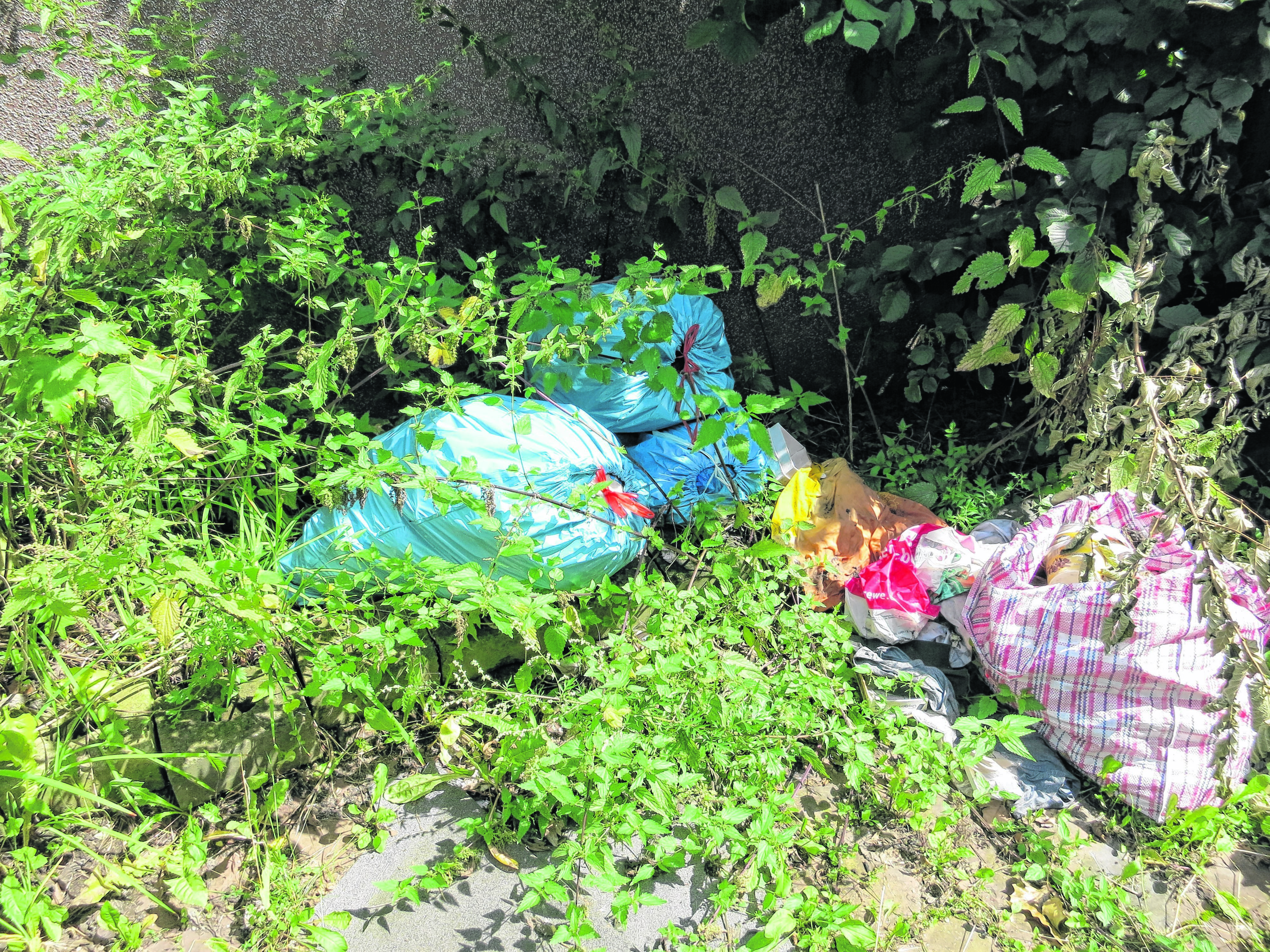 Was so ‚harmlos‘ wie irgendein wilder Müll ausschaut, gehört zum sogenannten Herd, von dem aus immer wieder Schaben sich ins Umfeld ausbreiten, berichten Anwohner in Katernberg.