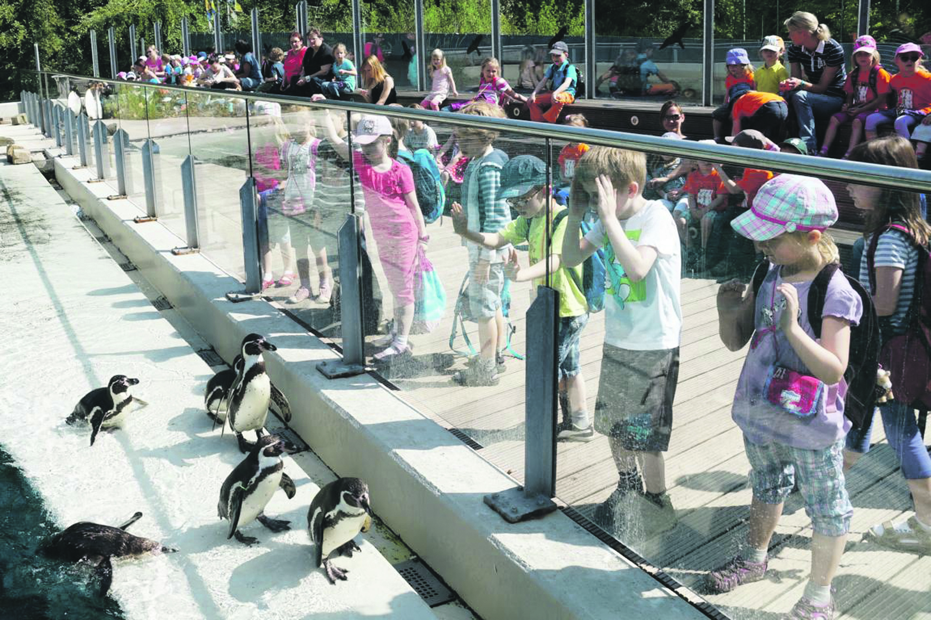 Der nächste NRW-Partnerzoo-Tag steht vor der Tür – auch der Tierpark Bochum ist mit dabei und bietet eine kostenlose Führung an.