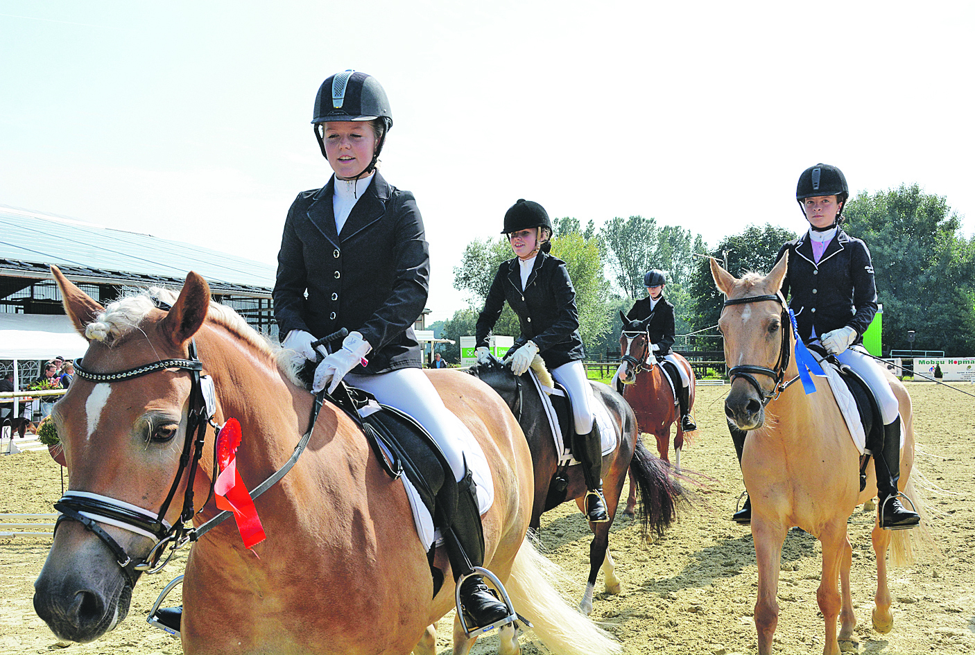 Auf dem Rücken der Pferde lag beim Reitturnier in Uedem ein Wochenende lang für die Teilnehmer wieder das Glück der Erde. Foto:Steve