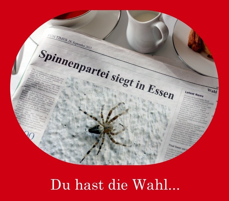 Nichtwählen? Pfui Spinne!