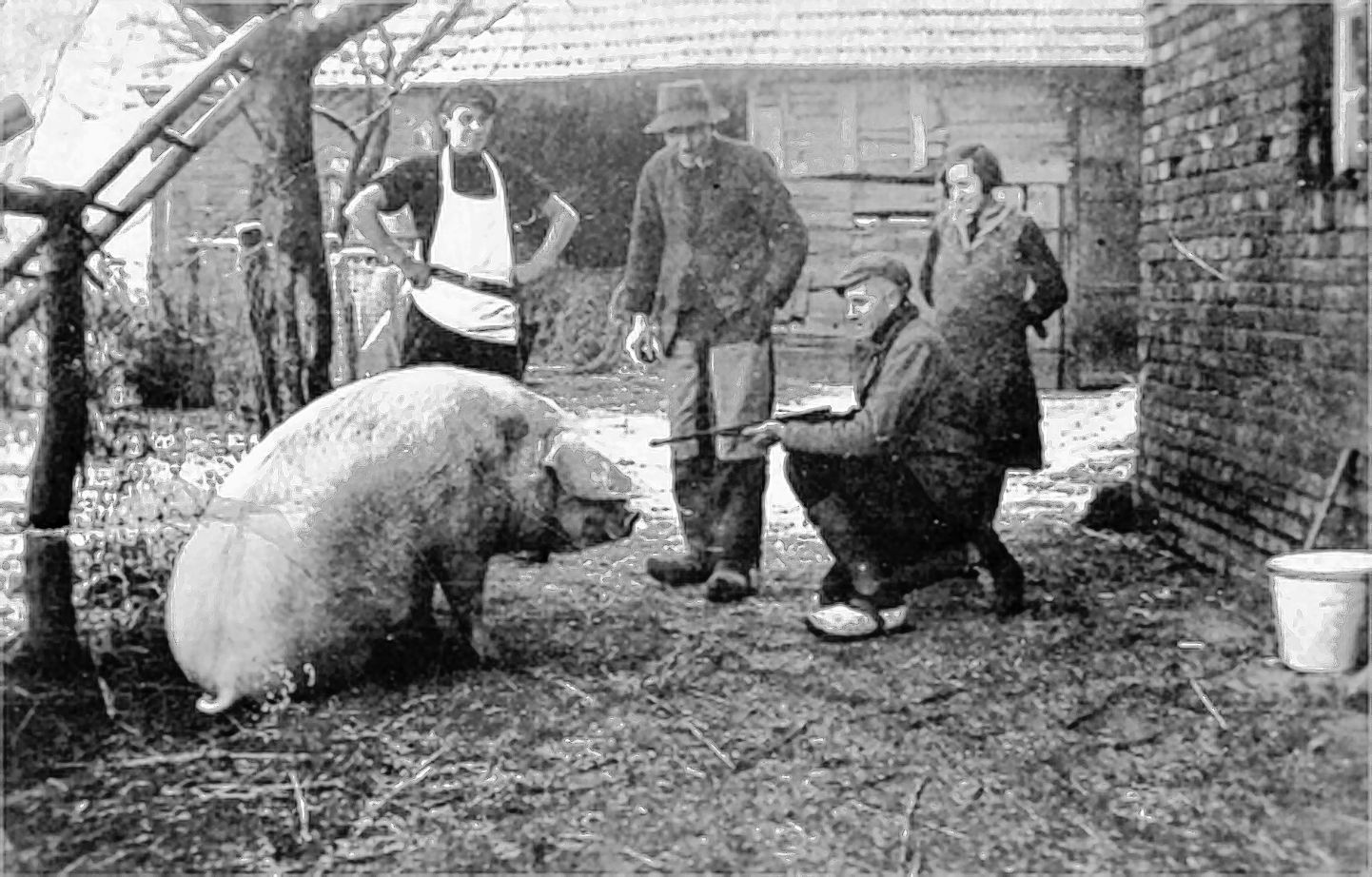 Auch das gehört zum Leben auf einem Bauernhof: Der Schlachter ist da.