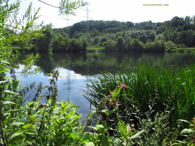 schöne, bunte vielfältige Heimat ...