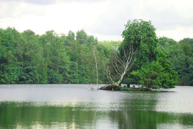 Am Rotbachsee wird nicht nur geangelt, sondern die ASV-Mitglieder pflegen den Fischbestand und halten das Ufer sauber.
Foto: jape