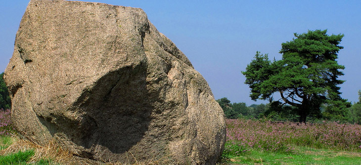 Der Naturpark Hohe Mark