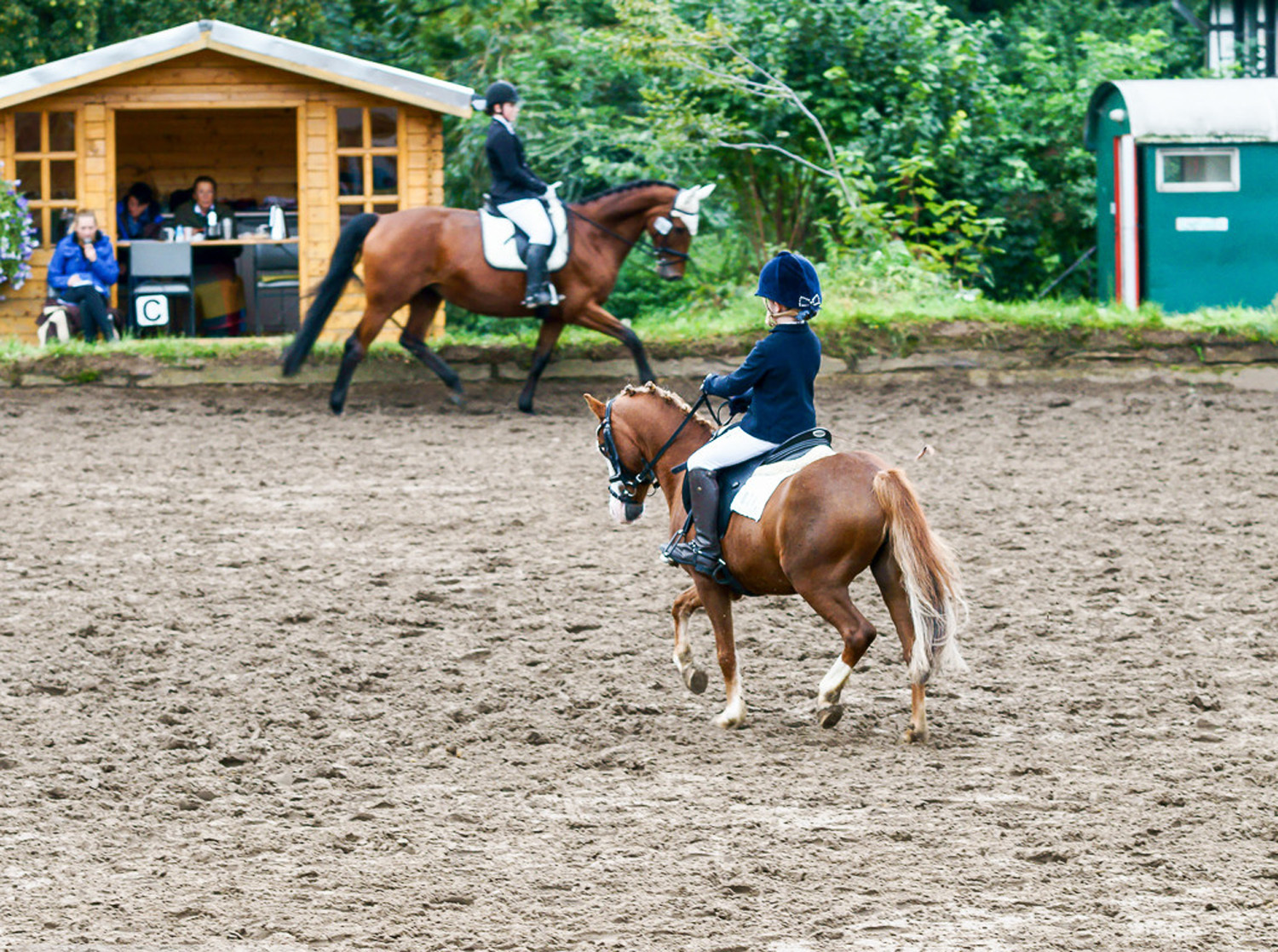Reiten für Groß und Klein in Resse