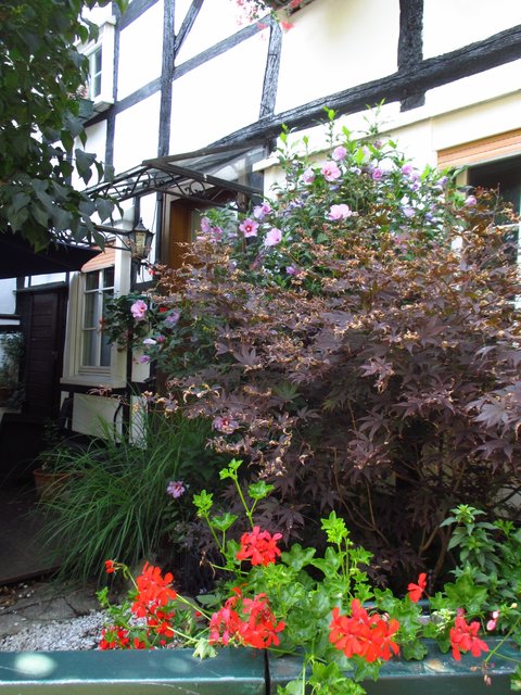 herrliche Altstadt-Häuserreihen ... schön bunt beblümt