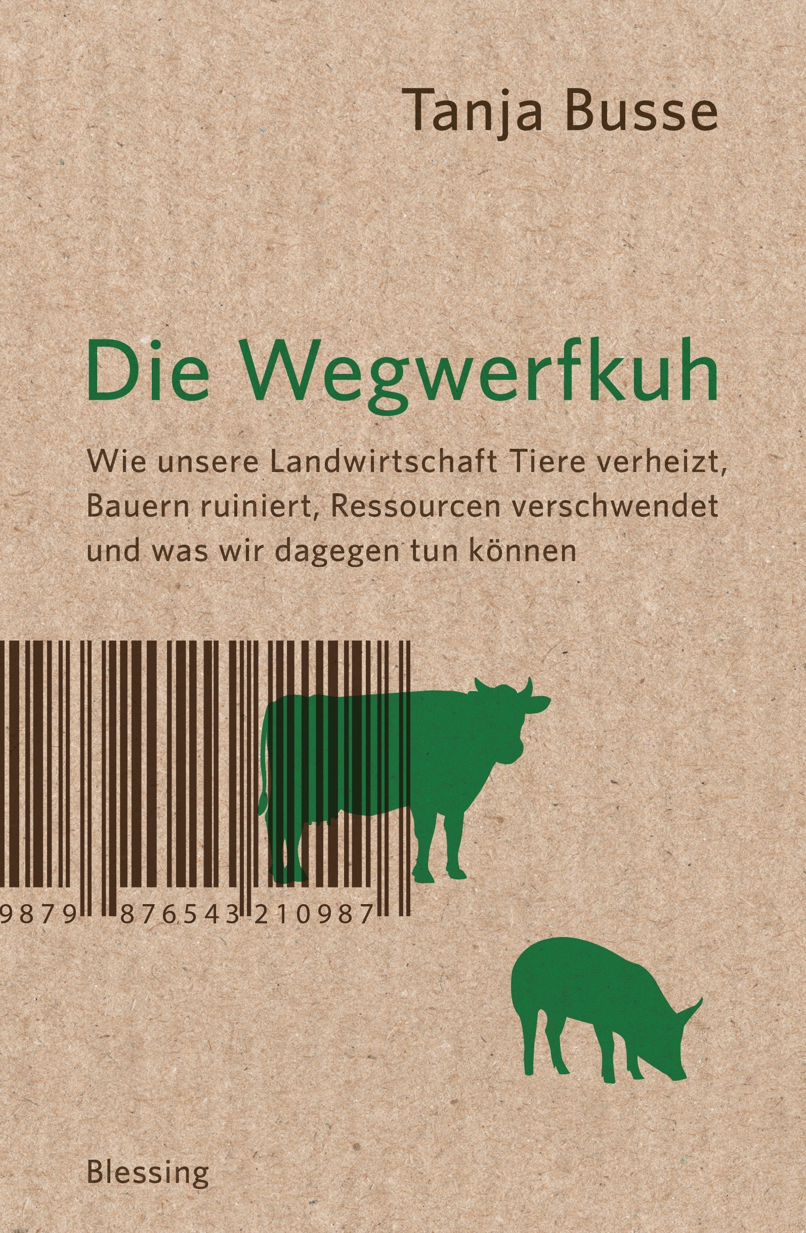 Das Buch zeigt Mißstände und Lösungsmöglichkeiten auf.