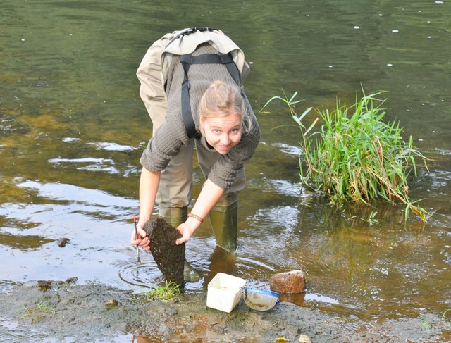 Maike Börth suchte in der Stever nach Kleinlebewesen, die unter dem Mikroskop des mobilen Forschungslabors „Lumbricus“ sichtbar gemacht werden konnten. Foto: Werner Zempelin