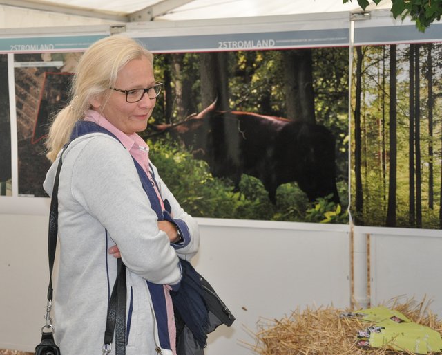 Leider zu wenige interessierte Besucher / innen. Foto: Werner Zempelin