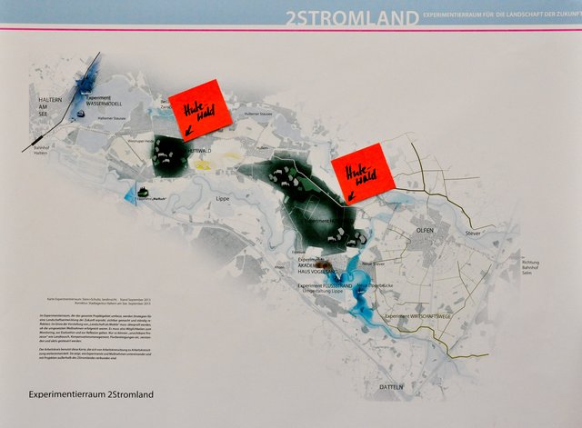 Experiment "Hutewald" an zwei Stellen. Foto: Werner Zempelin