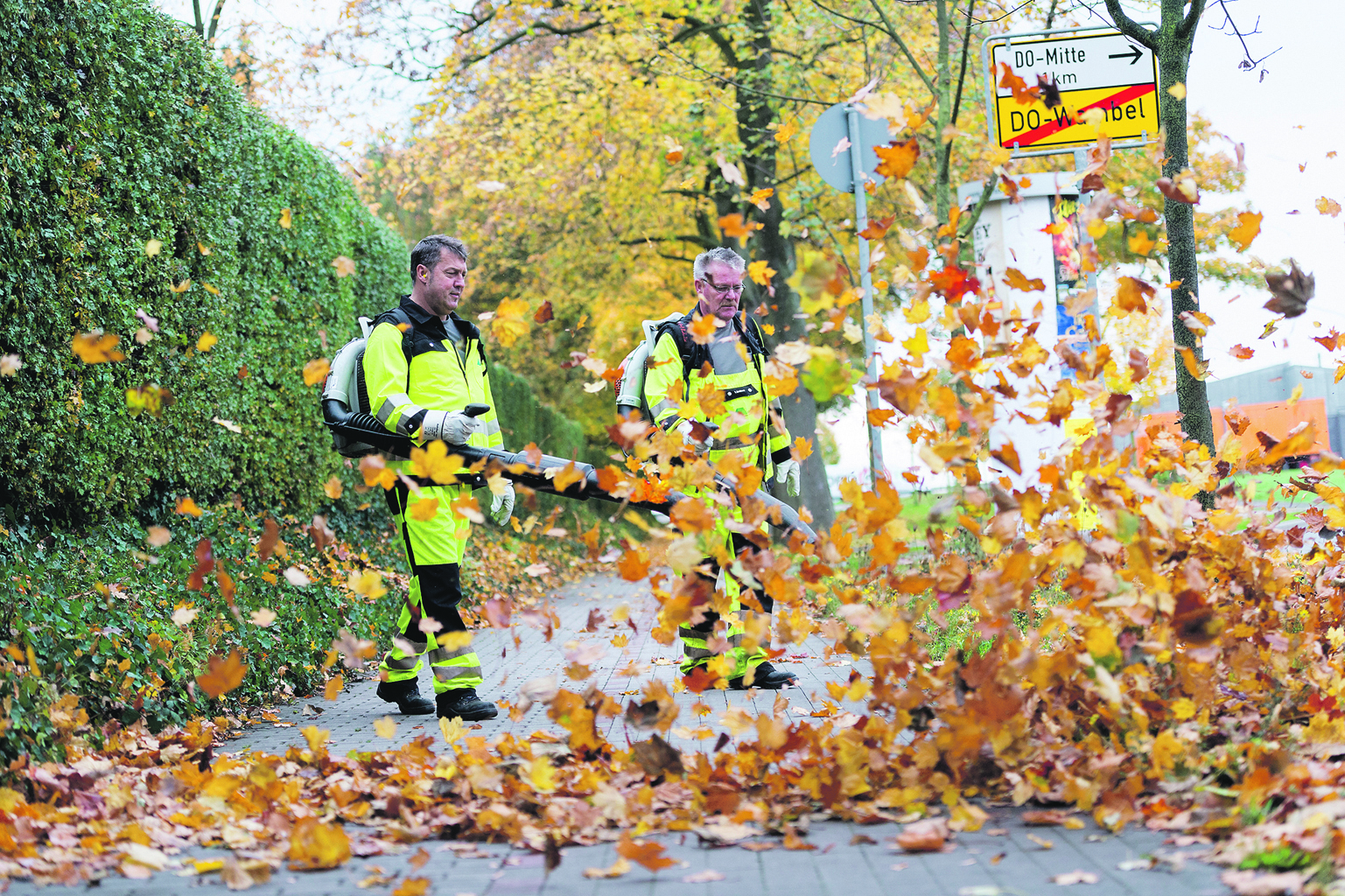 Die Zeit der bunten Blätter beginnt: die EDG sorgt für ihre Beseitigung und bietet mit den bewährten Laubsäcken einen kundenfreundlichen Service.