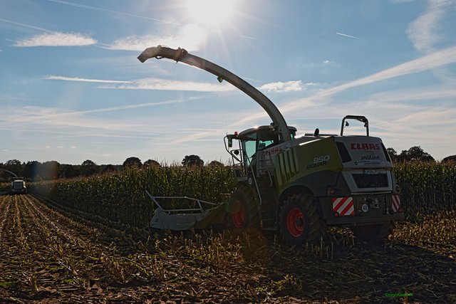 Claas 950 im Sonnenlicht .............