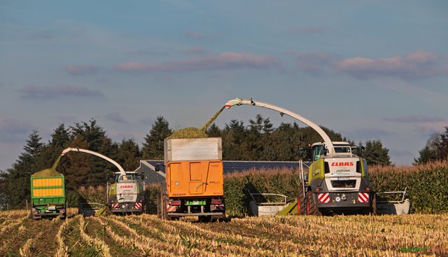 15 Meter Mais weg ...................