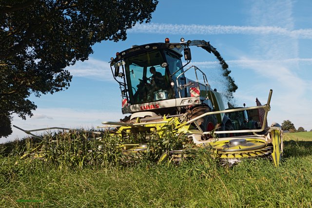 Claas 960 mit 10 Reihen Vorsatz.