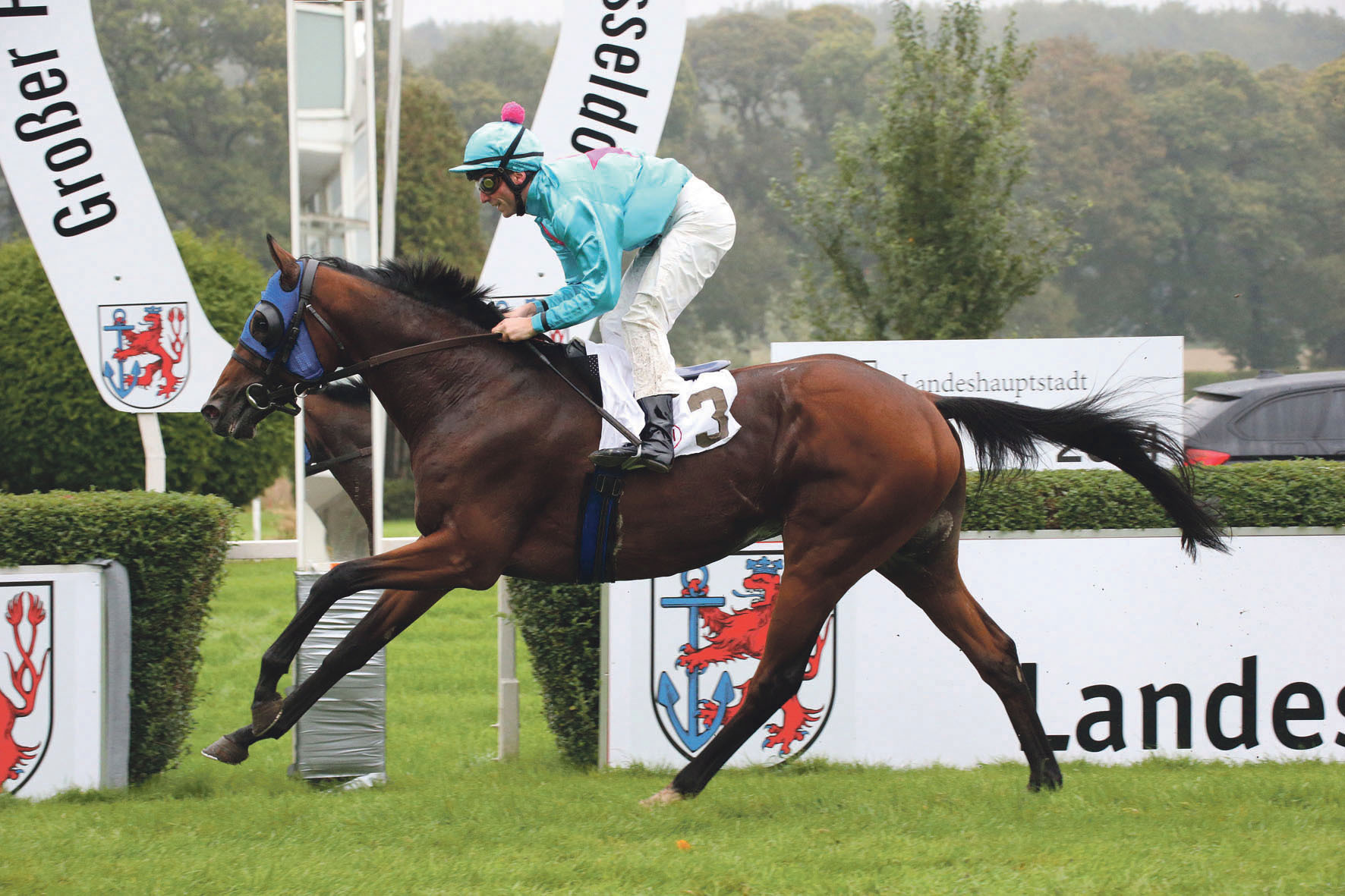 Im vergangenen Jahr gewann „Flamingo Star“ mit Jockey Stephen Hellyn den "Großen Preis der Landeshauptstadt Düsseldorf".