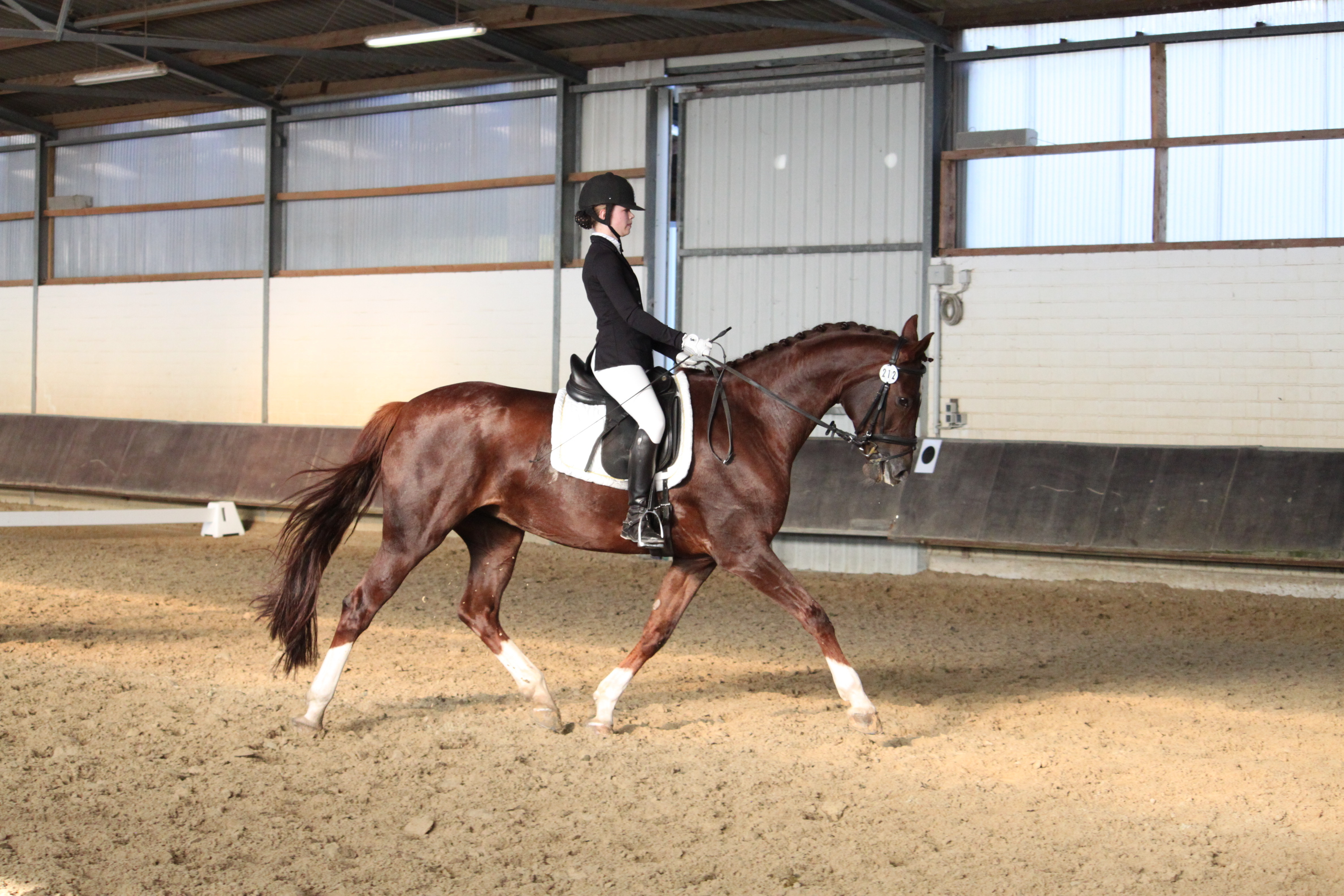 Hannah Solms mit Dylana
