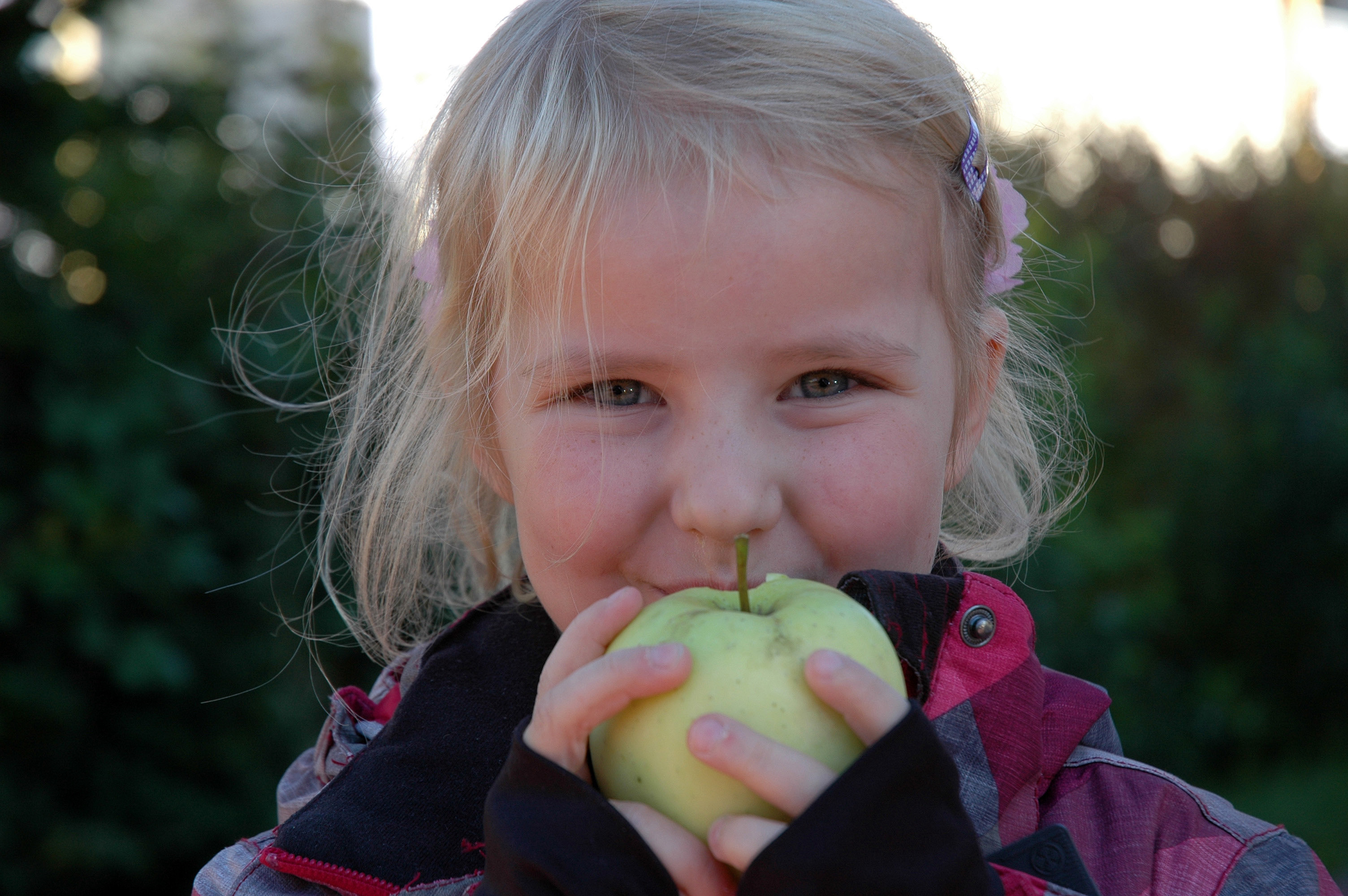 Die kleine Charlotte liebt heimische Äpfel und findet sie zum Anbeißen "süß": Foto: Anja Jungvogel