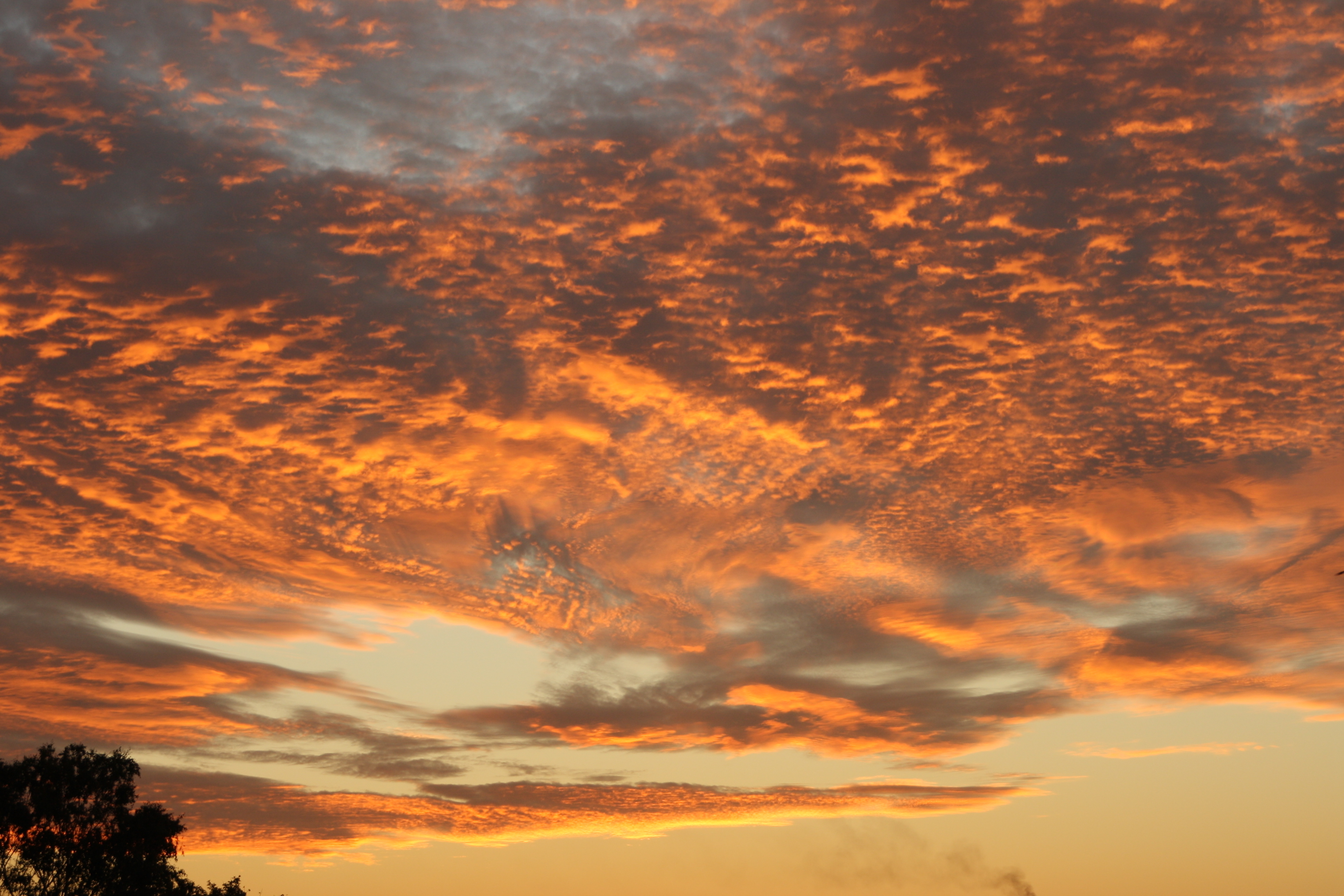 Heute, 3. Oktober 2015, 07:34:58