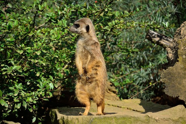 Ein Tag in der Zoom Erlebniswelt Gelsenkirchen.Foto:Kurt Gritzan