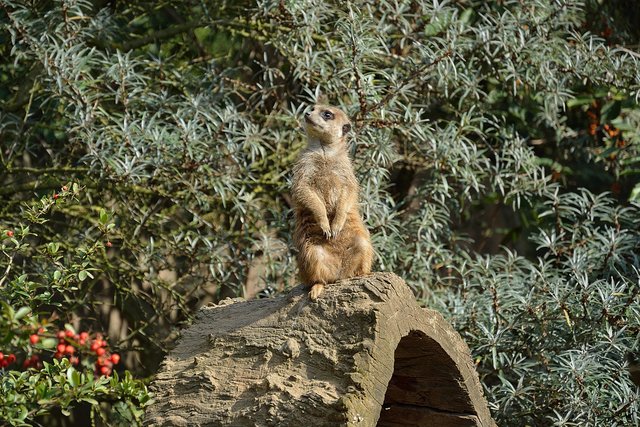 Ein Tag in der Zoom Erlebniswelt Gelsenkirchen.Foto:Kurt Gritzan