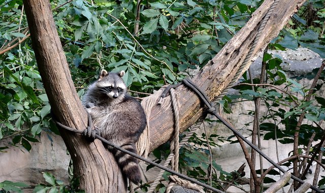 Ein Tag in der Zoom Erlebniswelt Gelsenkirchen.Foto:Kurt Gritzan