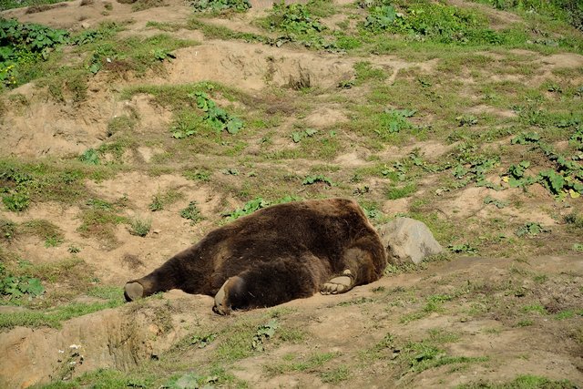 Ein Tag in der Zoom Erlebniswelt Gelsenkirchen.Foto:Kurt Gritzan