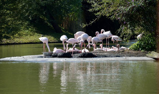 Ein Tag in der Zoom Erlebniswelt Gelsenkirchen.Foto:Kurt Gritzan