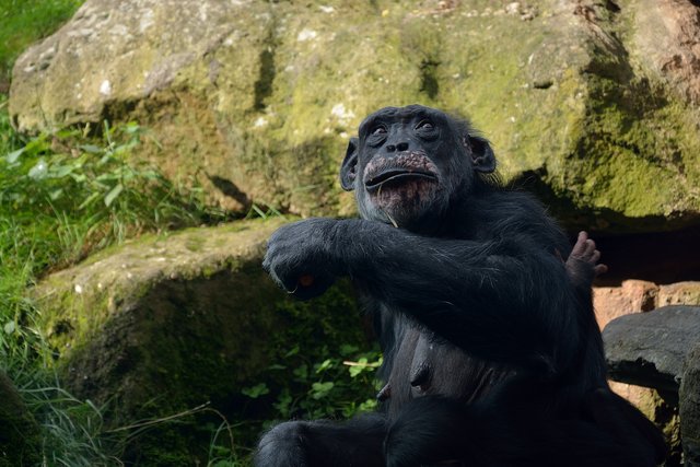 Ein Tag in der Zoom Erlebniswelt Gelsenkirchen.Foto:Kurt Gritzan