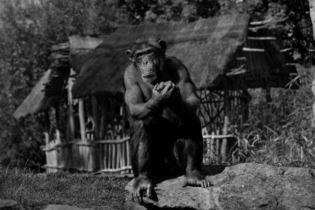 Ein Tag in der Zoom Erlebniswelt Gelsenkirchen.Foto:Kurt Gritzan
