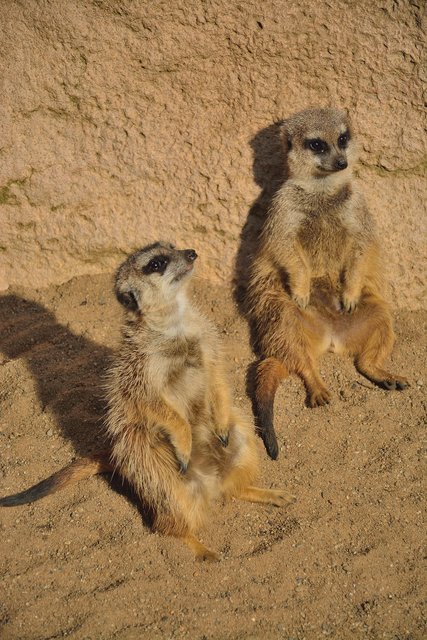 Ein Tag in der Zoom Erlebniswelt Gelsenkirchen.Foto:Kurt Gritzan