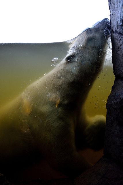 Ein Tag in der Zoom Erlebniswelt Gelsenkirchen.Foto:Kurt Gritzan