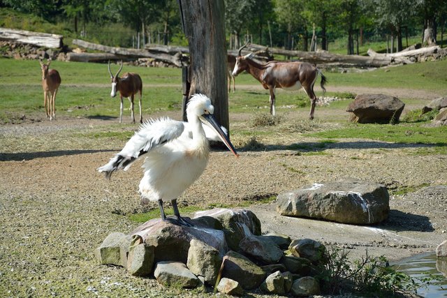 Ein Tag in der Zoom Erlebniswelt Gelsenkirchen.Foto:Kurt Gritzan