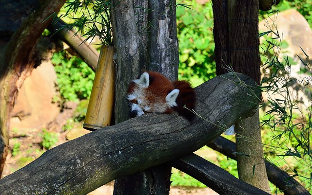 Ein Tag in der Zoom Erlebniswelt Gelsenkirchen.Foto:Kurt Gritzan
