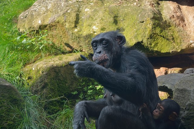 Ein Tag in der Zoom Erlebniswelt Gelsenkirchen.Foto:Kurt Gritzan