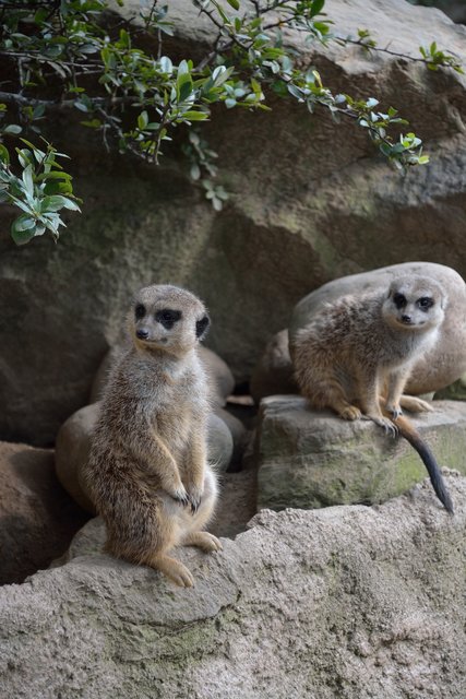 Ein Tag in der Zoom Erlebniswelt Gelsenkirchen.Foto:Kurt Gritzan