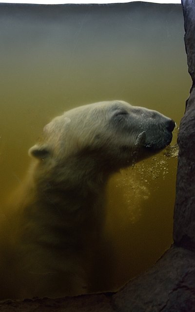 Ein Tag in der Zoom Erlebniswelt Gelsenkirchen.Foto:Kurt Gritzan